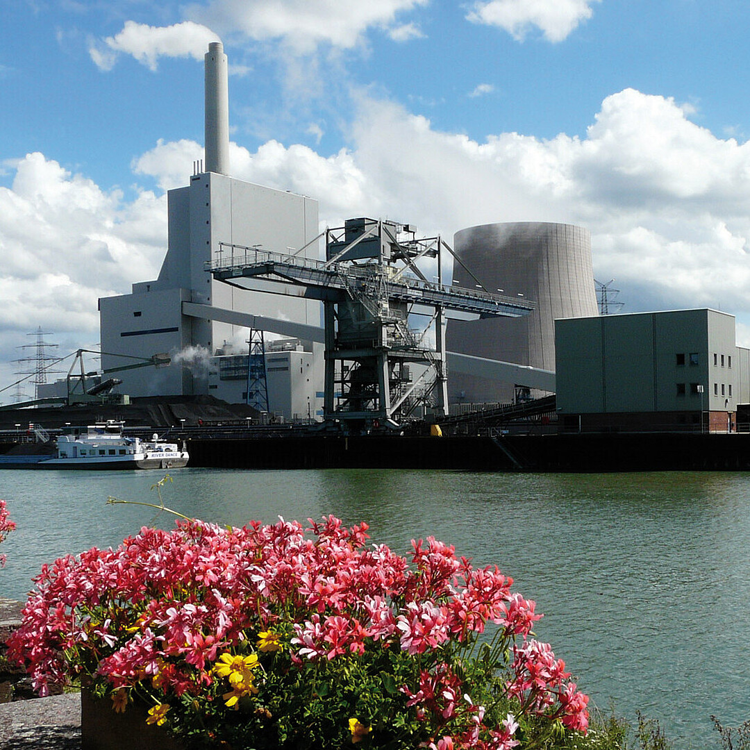 Industrie- und Hafenansicht im Rheinhafen Karlsruhe mit Kraftwerksanlagen am Wasser und blühenden Pflanzen im Vordergrund.